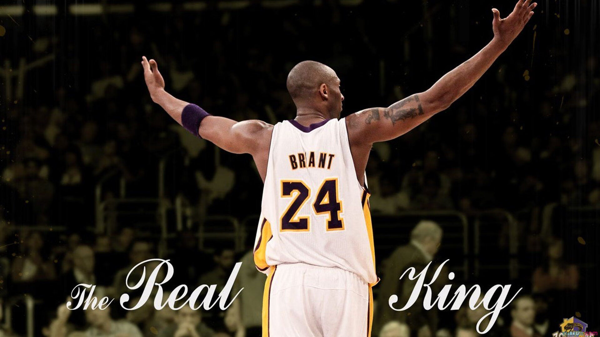 乔·波尔曼通过出色的传球视野，成为袋鼠队战术关键